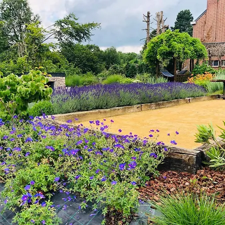 Juste A Cote, Maison De Caractere Avec Piscine * Wanze