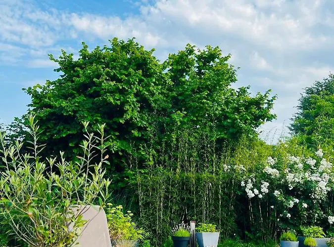 Casa vacanze Juste à Côté, Maison De Caractère Avec Piscine Wanze