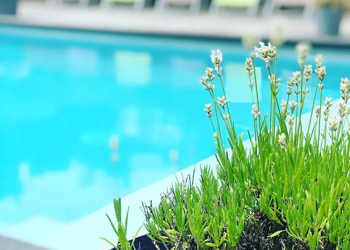 Juste à Côté, Maison De Caractère Avec Piscine Casa vacanze Wanze